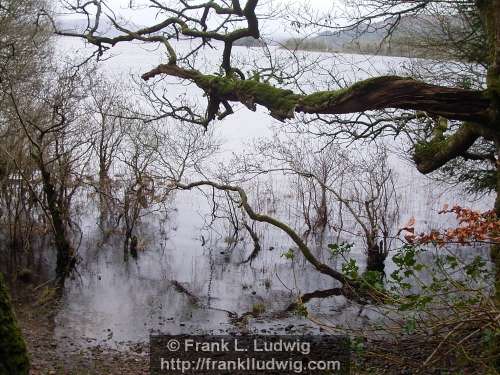 Lough Gill, County Sligo